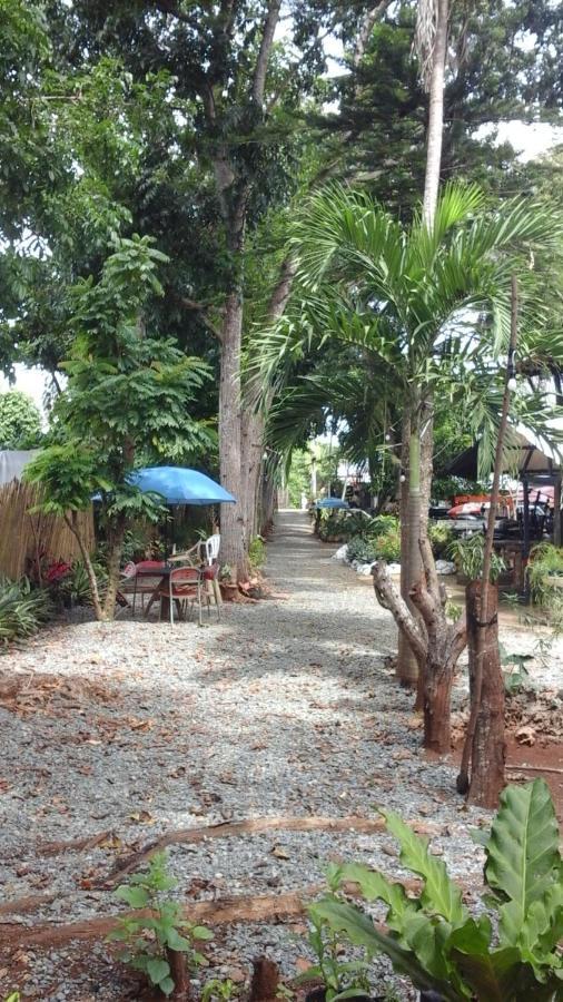 Larmar Bed And Breakfast Puerto Princesa Стая снимка